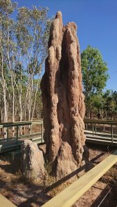 Day 4 A Day at Litchfield National Park
